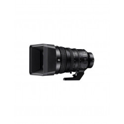 SONY 18-110/4 G OSS