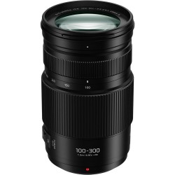 PANASONIC G VARIO 100-300/4-5.6 II O.I.S.