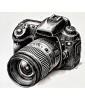 Reflex Digital