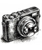 Compactas