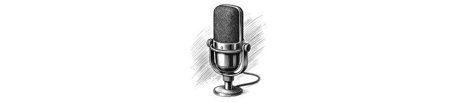 MICROFONOS PARA VIDEO PROFESIONAL